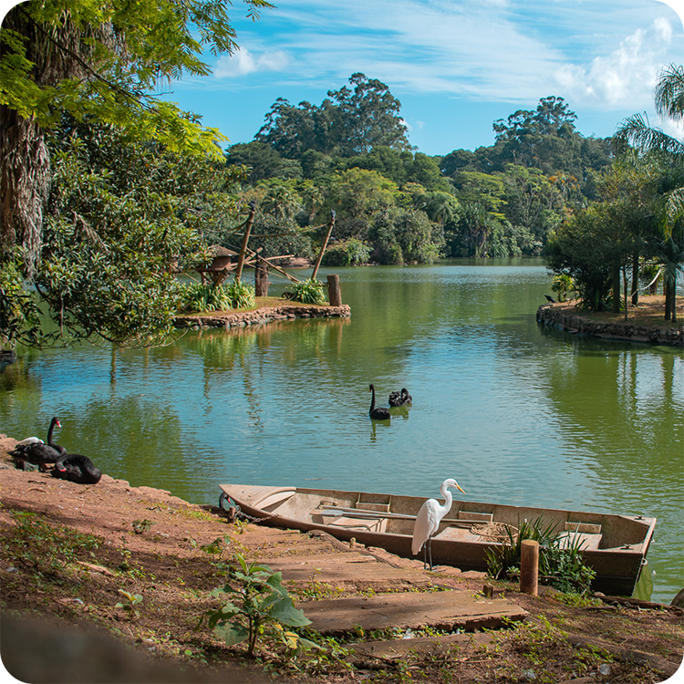 Woodland lake with a rowboat at the shore