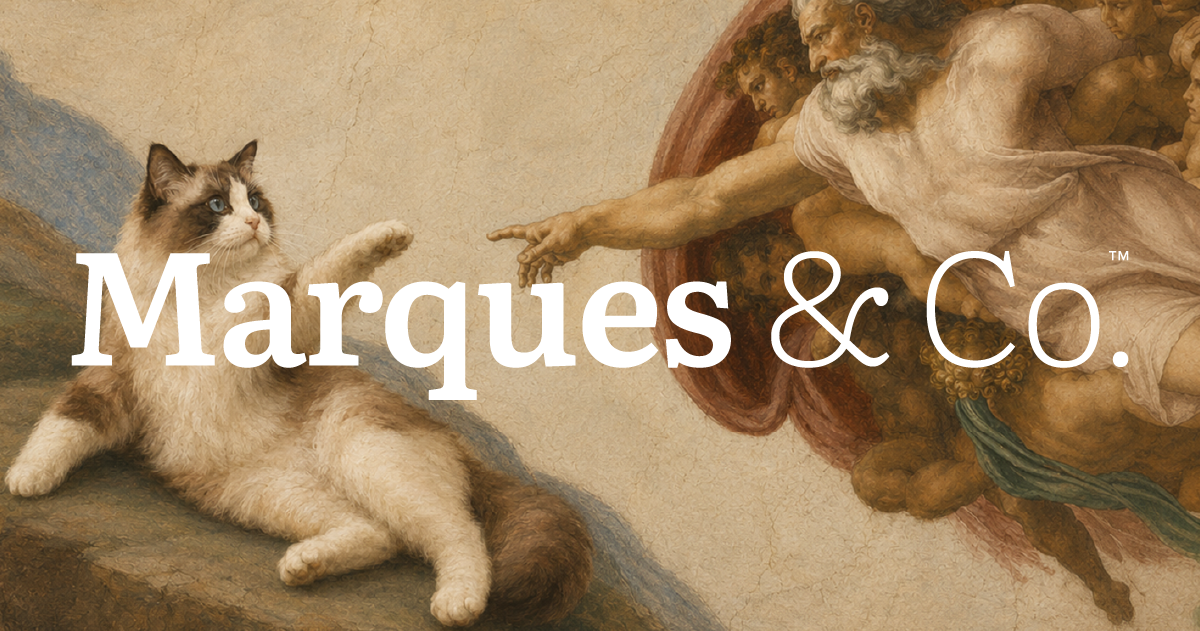 Marques & Co. interface